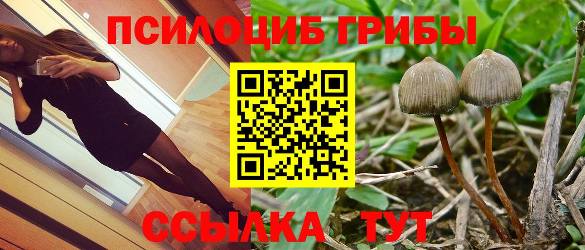 Саяногорск  Галлюциногенные грибы MAGIC MUSHROOMS  Вход с VPN  Галлюциногенные грибы мухоморы 
